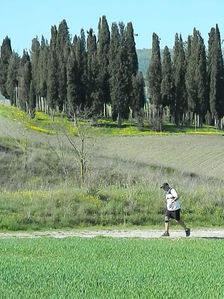 Premi per vedere l'immagine alla massima grandezza