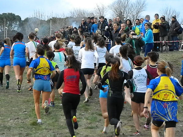 Premi per vedere l'immagine alla massima grandezza