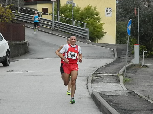 Premi per vedere l'immagine alla massima grandezza