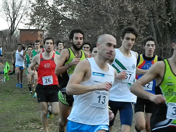 Premi per vedere l'immagine alla massima grandezza