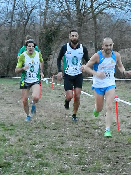 Premi per vedere l'immagine alla massima grandezza