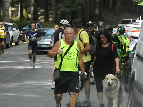 Premi per vedere l'immagine alla massima grandezza