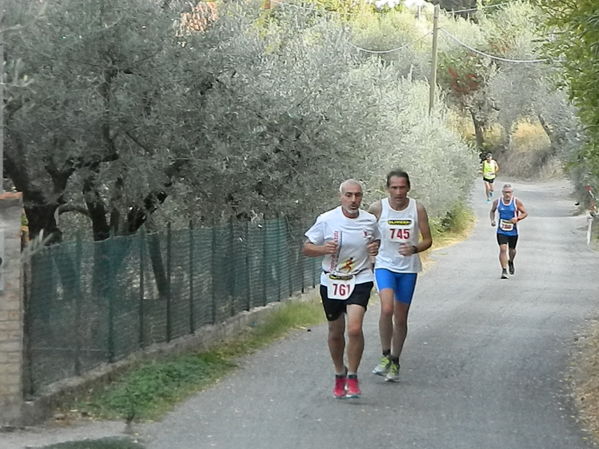 Premi per vedere l'immagine alla massima grandezza