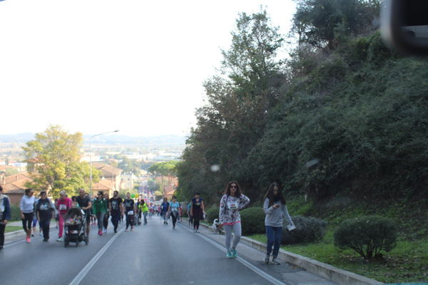 Premi per vedere l'immagine alla massima grandezza