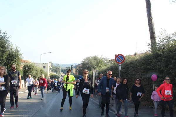 Premi per vedere l'immagine alla massima grandezza