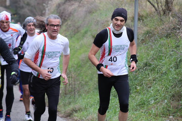 Premi per vedere l'immagine alla massima grandezza