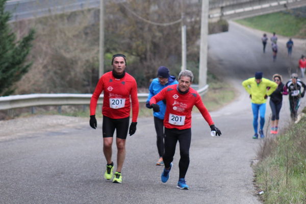 Premi per vedere l'immagine alla massima grandezza