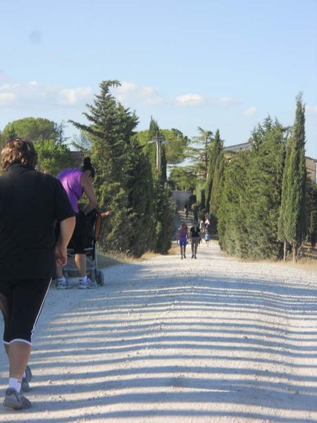 Premi per vedere l'immagine alla massima grandezza