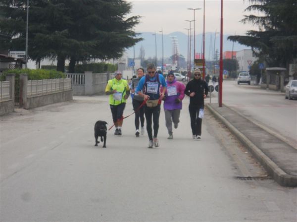 Premi per vedere l'immagine alla massima grandezza