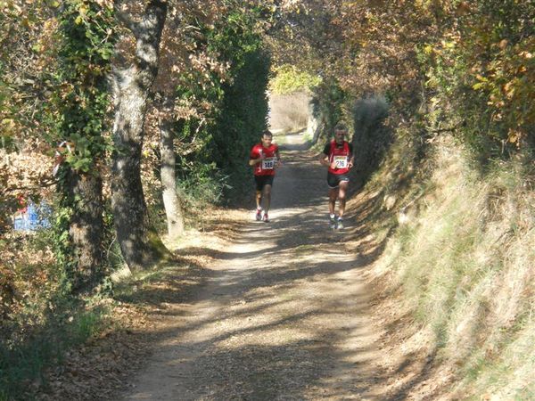 Premi per vedere l'immagine alla massima grandezza