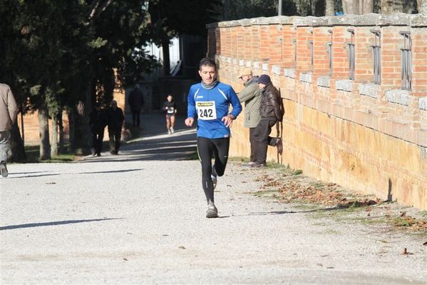 Premi per vedere l'immagine alla massima grandezza