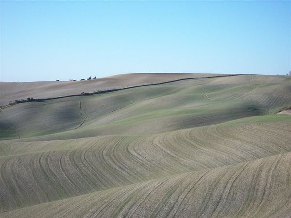 Premi per vedere l'immagine alla massima grandezza