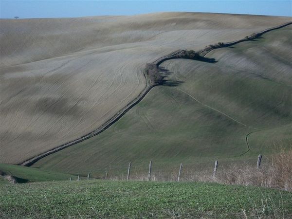 Premi per vedere l'immagine alla massima grandezza