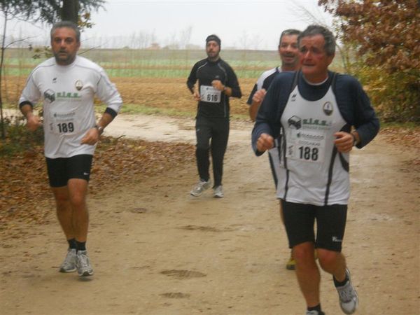 Premi per vedere l'immagine alla massima grandezza