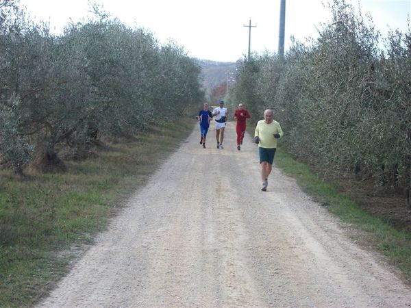 Premi per vedere l'immagine alla massima grandezza