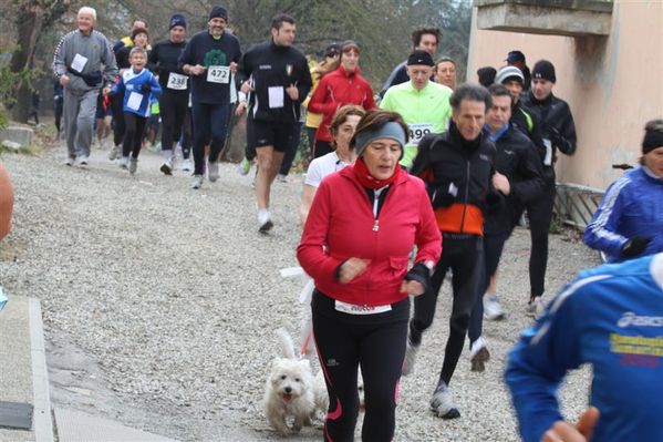 Premi per vedere l'immagine alla massima grandezza