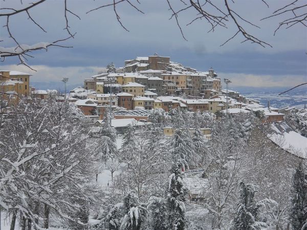 Premi per vedere l'immagine alla massima grandezza