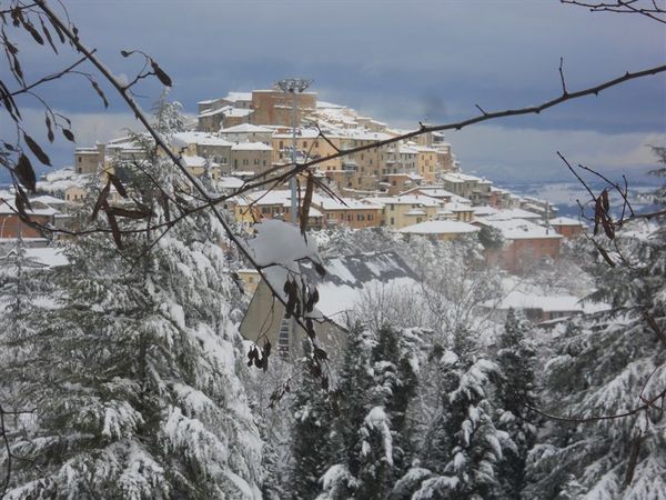 Premi per vedere l'immagine alla massima grandezza