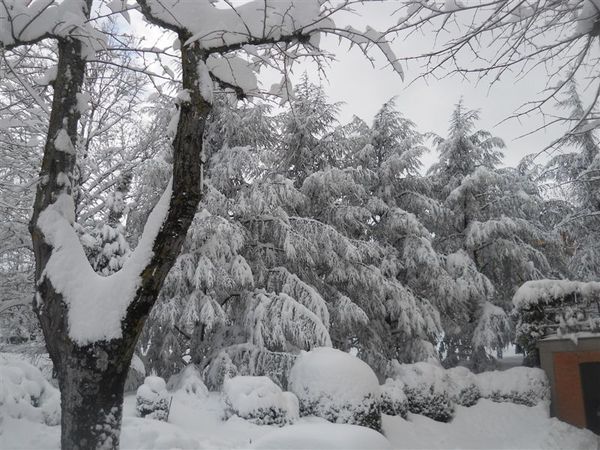 Premi per vedere l'immagine alla massima grandezza