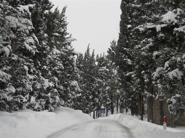 Premi per vedere l'immagine alla massima grandezza