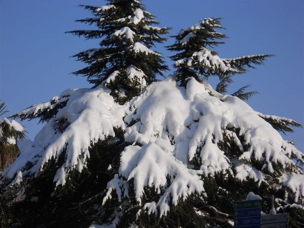 Premi per vedere l'immagine alla massima grandezza