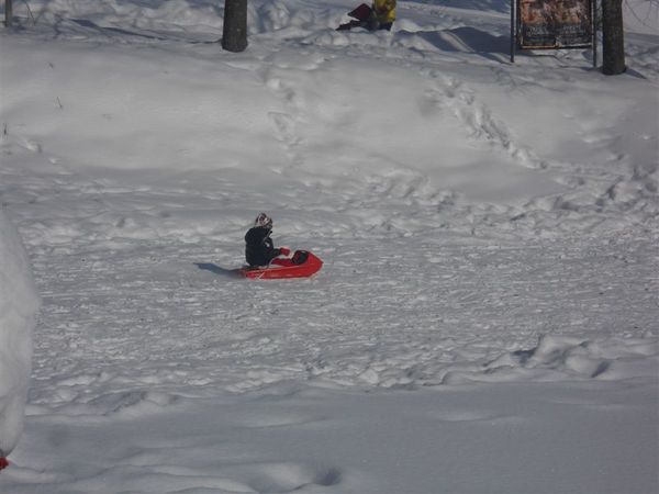 Premi per vedere l'immagine alla massima grandezza