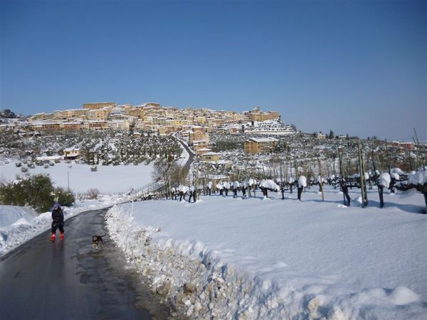 Premi per vedere l'immagine alla massima grandezza