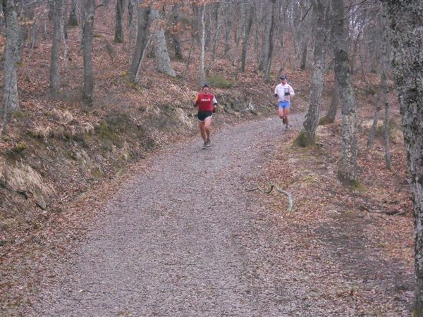 Premi per vedere l'immagine alla massima grandezza