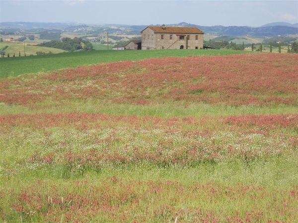 Premi per vedere l'immagine alla massima grandezza