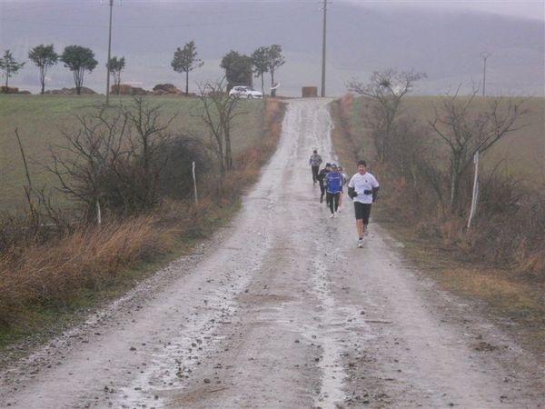 Premi per vedere l'immagine alla massima grandezza