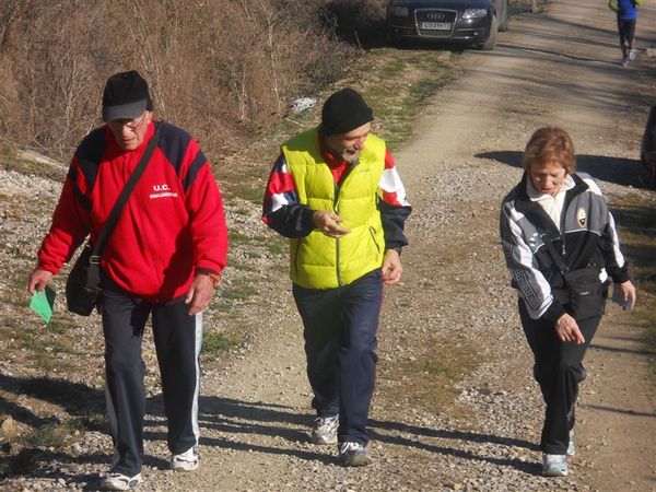 Premi per vedere l'immagine alla massima grandezza