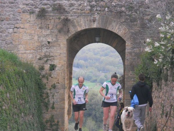 Premi per vedere l'immagine alla massima grandezza