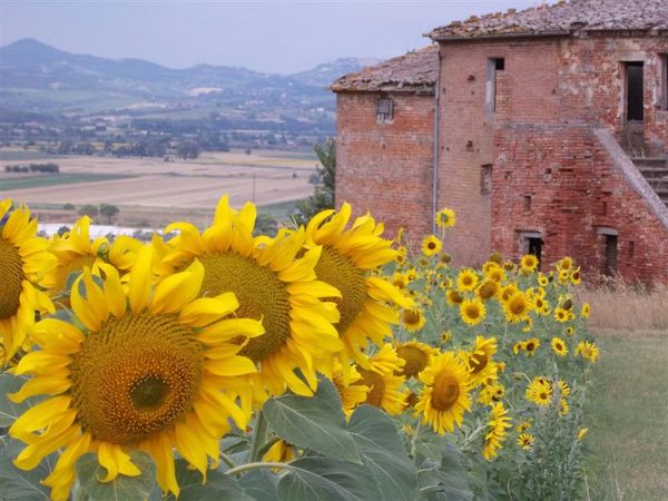 Premi per vedere l'immagine alla massima grandezza