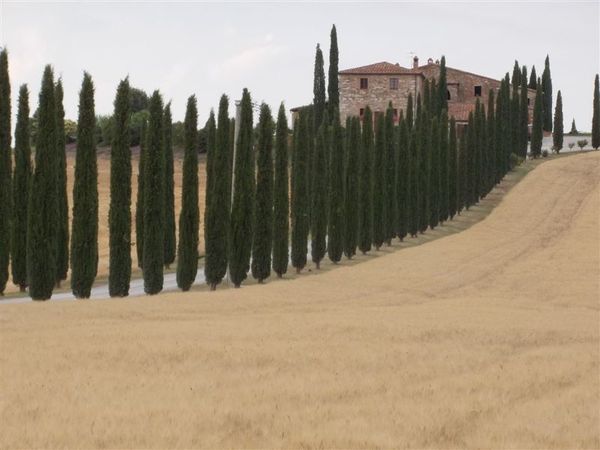 Valdorcia_luglio_2011_15.JPG