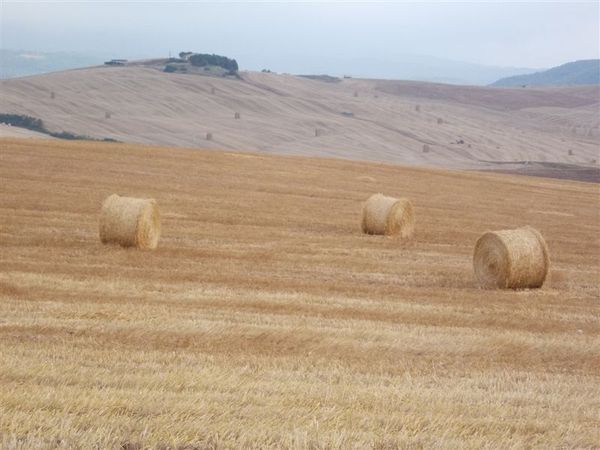 Valdorcia_luglio_2011_49.JPG