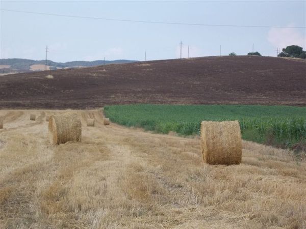 Valdorcia_luglio_2011_64.JPG