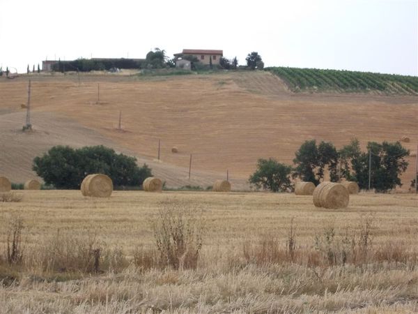 Valdorcia_luglio_2011_67.JPG