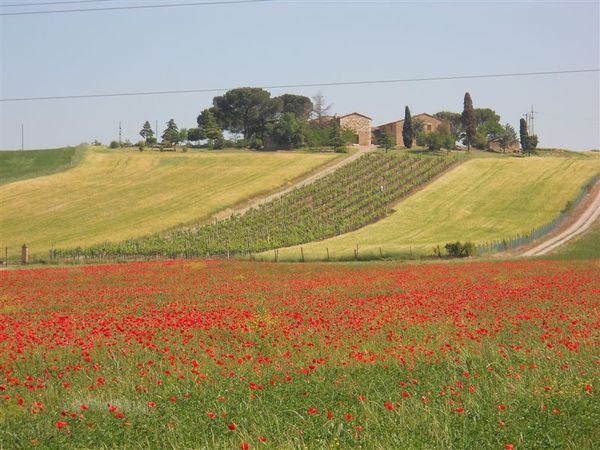 Premi per vedere l'immagine alla massima grandezza