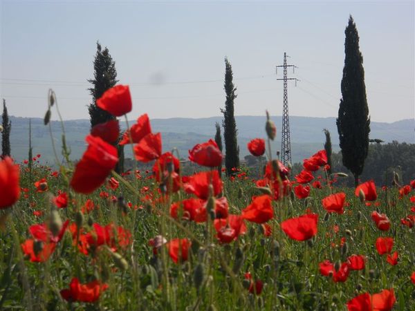 Premi per vedere l'immagine alla massima grandezza