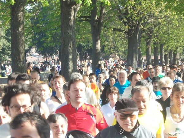 Premi per vedere l'immagine alla massima grandezza