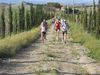 5_Poderi_Murlo_28_maggio_2011_236.JPG