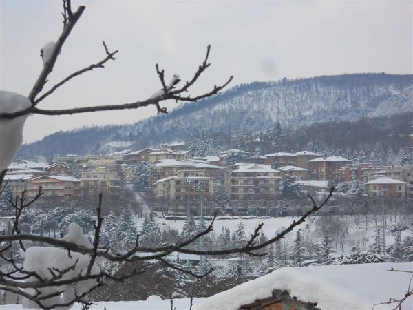 Premi per vedere l'immagine alla massima grandezza