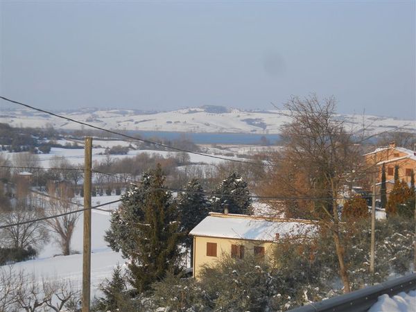 Premi per vedere l'immagine alla massima grandezza