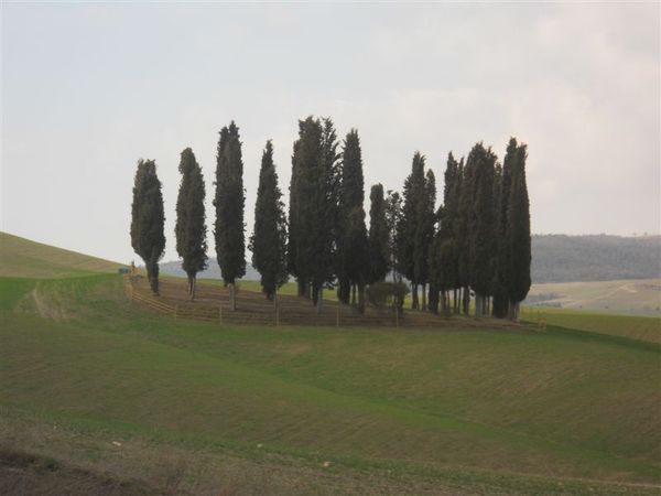 Premi per vedere l'immagine alla massima grandezza