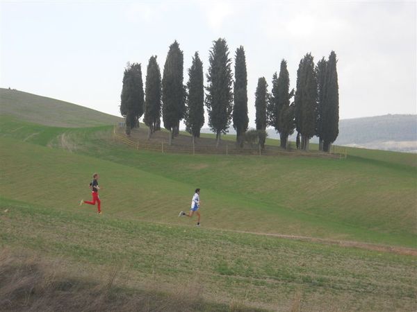 Premi per vedere l'immagine alla massima grandezza