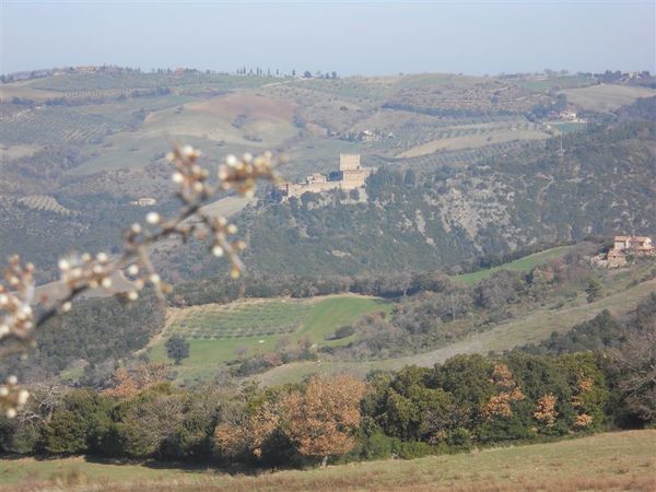 Premi per vedere l'immagine alla massima grandezza