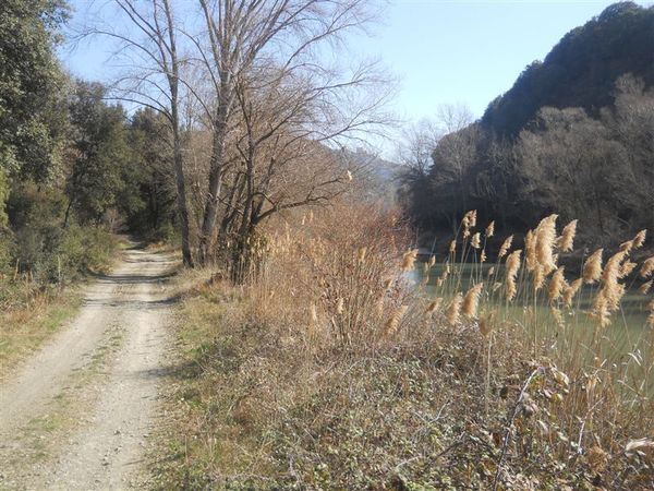 Premi per vedere l'immagine alla massima grandezza