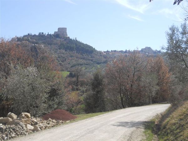 Premi per vedere l'immagine alla massima grandezza