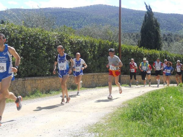 Premi per vedere l'immagine alla massima grandezza