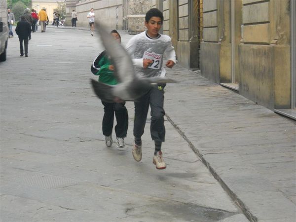 Premi per vedere l'immagine alla massima grandezza